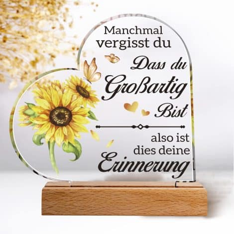 Hochwertige Acryltafel mit lieben Worten für deine beste Freundin, Schwester. Perfektes Geschenk für Weihnachten!