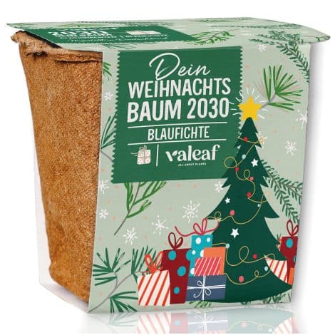 valeaf Weihnachtsbaum Starter-Kit – perfekt für kleine Weihnachtsgeschenke, passend für Geheimniskrämer und Gartenliebhaber.